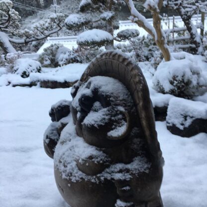 明日香のお宿 キトラのお庭の雪