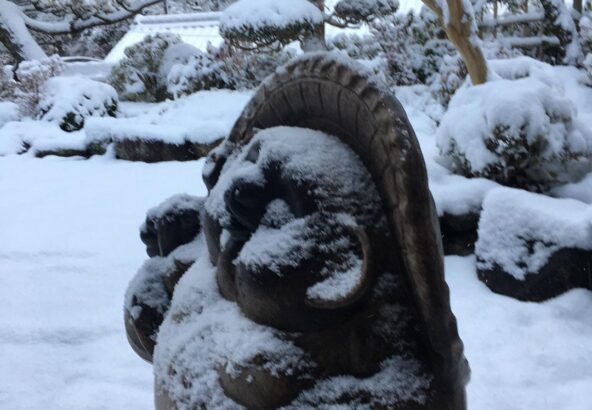 明日香のお宿 キトラのお庭の雪