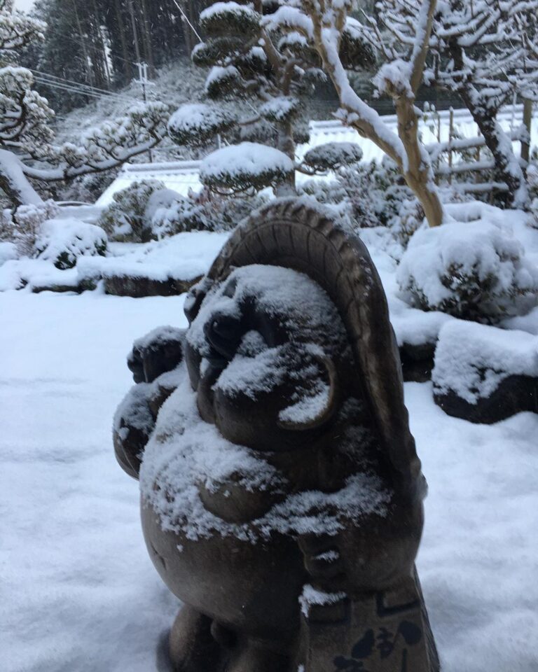 明日香村｜明日香のお宿 キトラは白銀世界 明日香のお宿キトラ