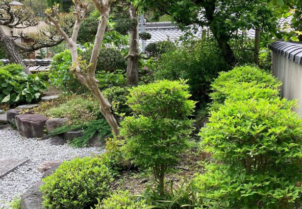 奈良県明日香村｜お宿キトラの庭の新緑