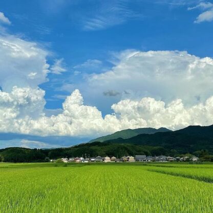 奈良県明日香村のかなとこ雲が大きく成長