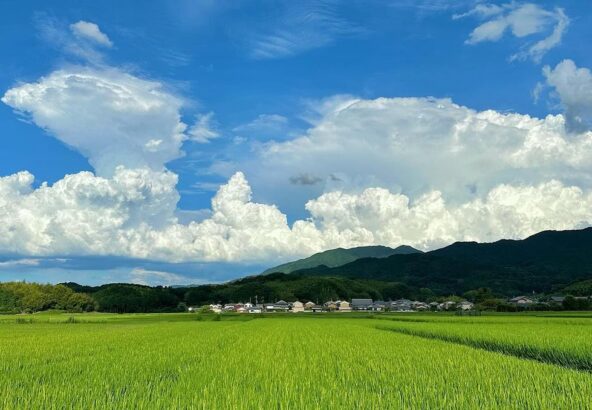 奈良県明日香村のかなとこ雲が大きく成長