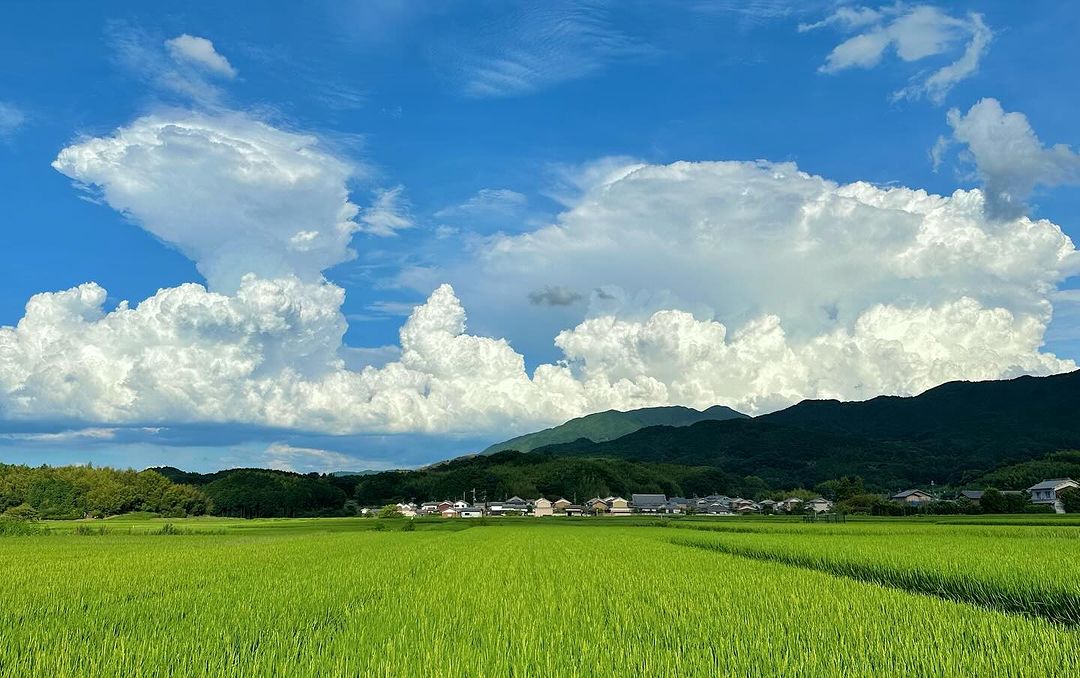 奈良県明日香村のかなとこ雲が大きく成長