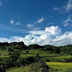 奈良県明日香村の棚田