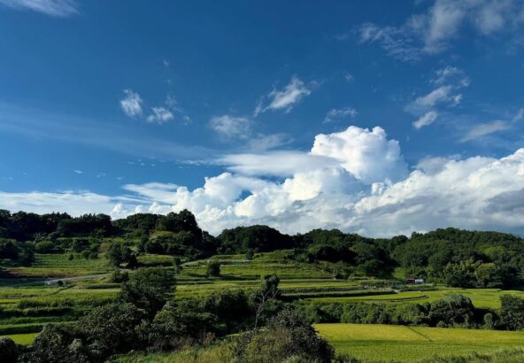 奈良県明日香村の棚田