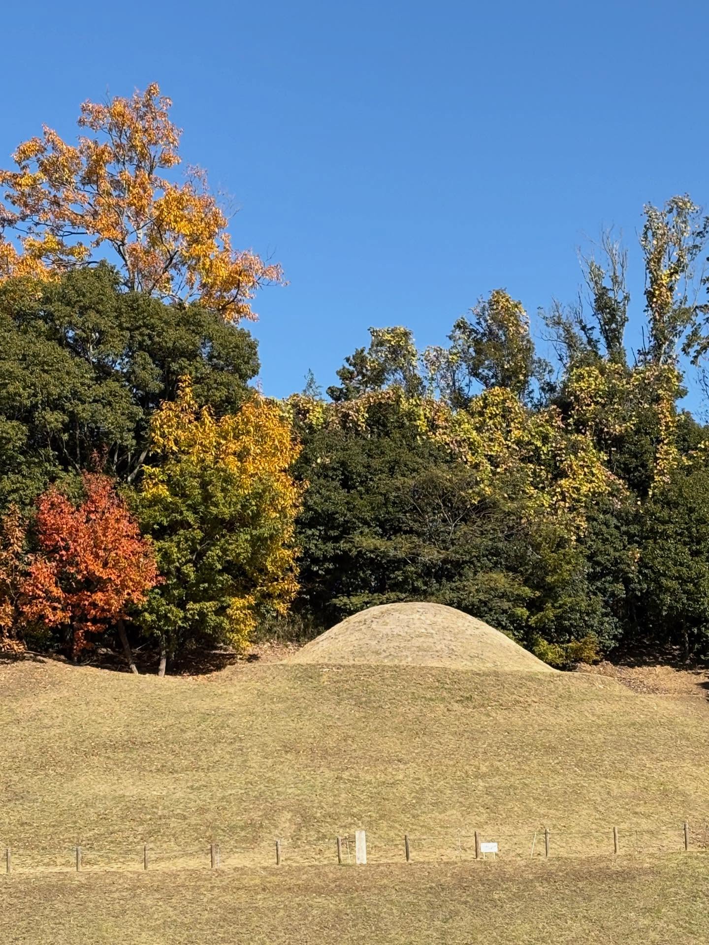明日香村のキトラ古墳