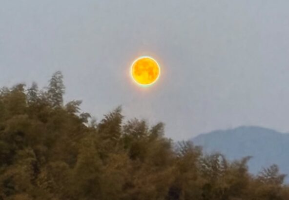 明日香村の美しい早朝の月