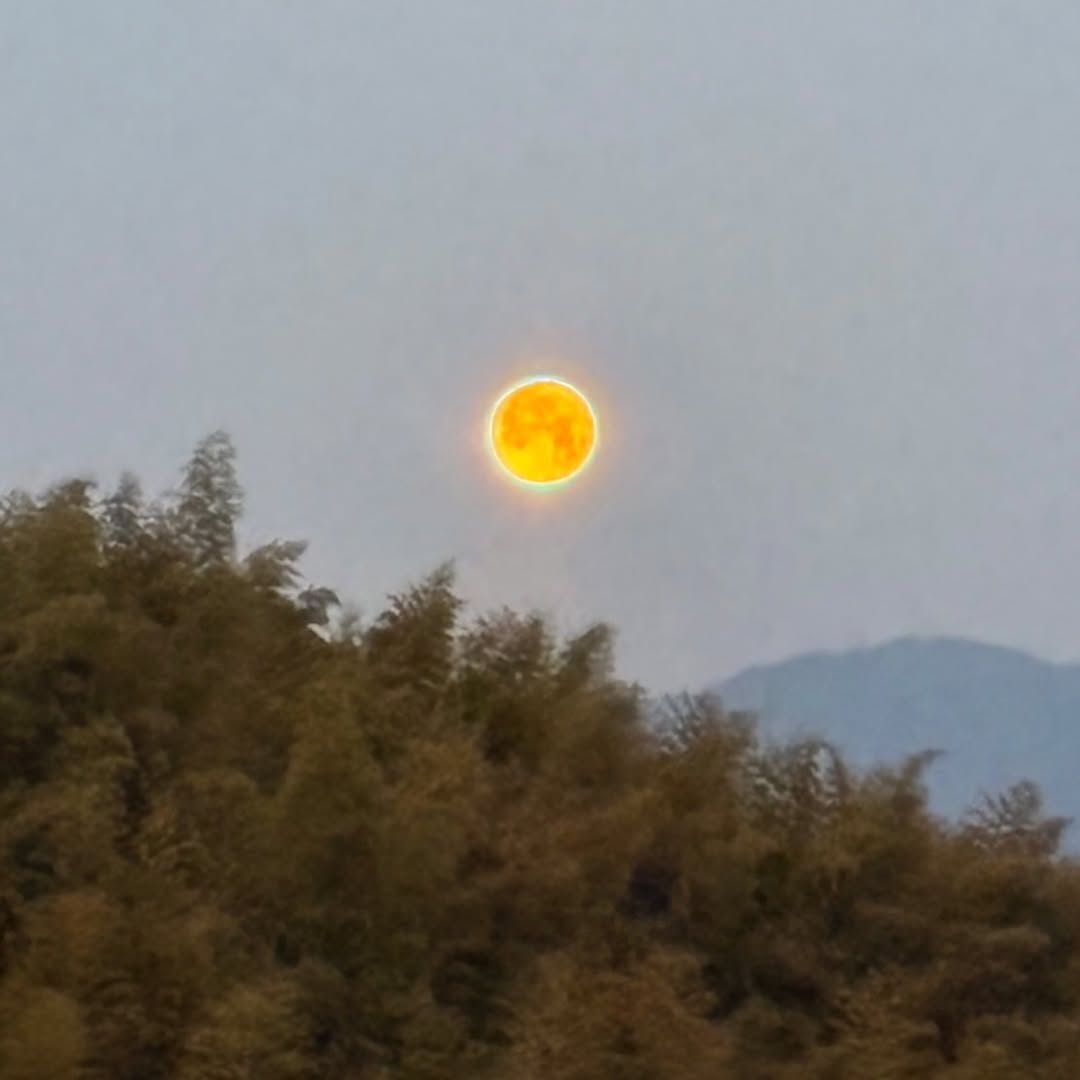 明日香村の美しい早朝の月