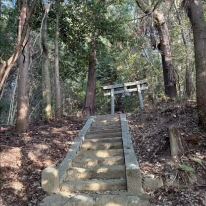 明日香村のトトロの森