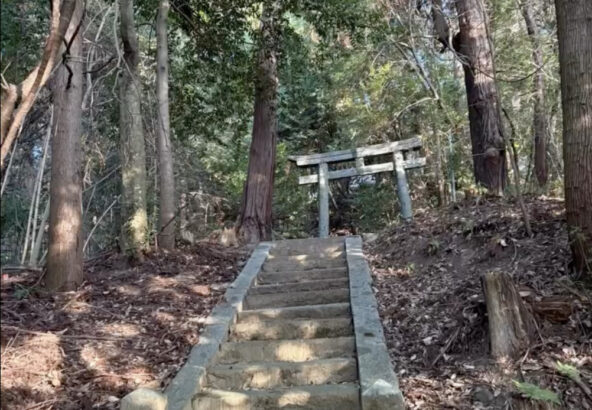 明日香村のトトロの森