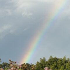 明日香村の宿に朝の空に綺麗な虹が